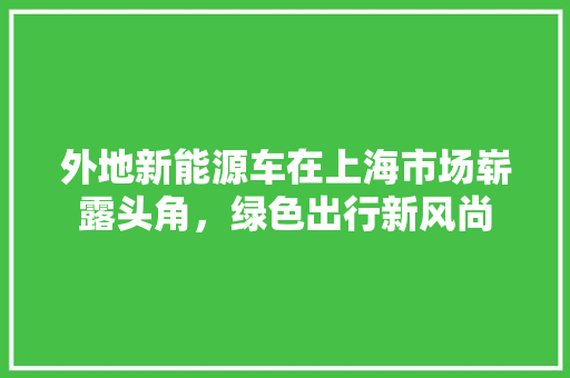 外地新能源车在上海市场崭露头角，绿色出行新风尚