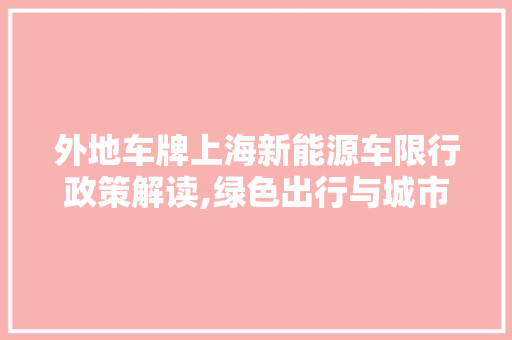 外地车牌上海新能源车限行政策解读,绿色出行与城市管理的平衡艺术