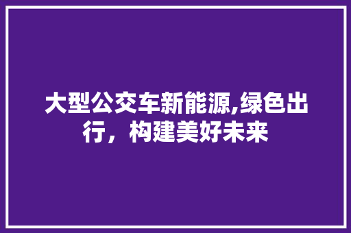 大型公交车新能源,绿色出行，构建美好未来