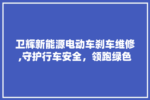 卫辉新能源电动车刹车维修,守护行车安全，领跑绿色出行