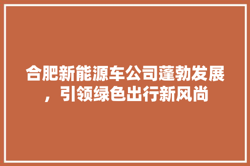合肥新能源车公司蓬勃发展，引领绿色出行新风尚