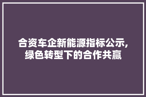 合资车企新能源指标公示,绿色转型下的合作共赢