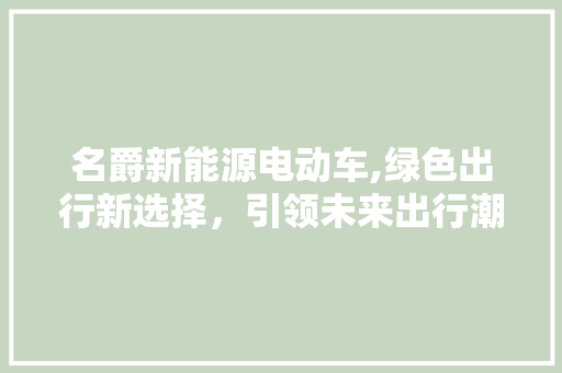 名爵新能源电动车,绿色出行新选择，引领未来出行潮流