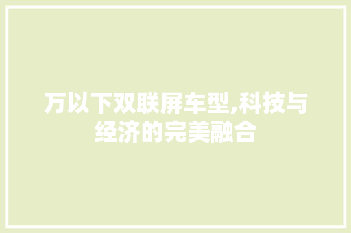 万以下双联屏车型,科技与经济的完美融合