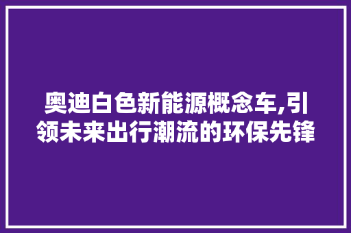 奥迪白色新能源概念车,引领未来出行潮流的环保先锋 汽车配件