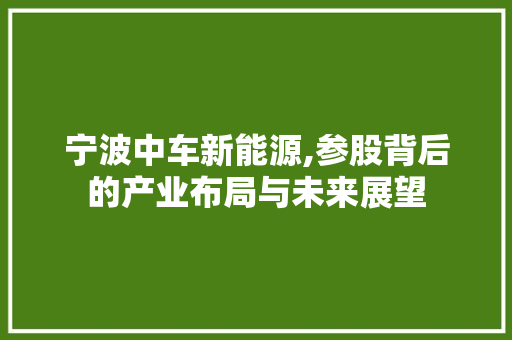 宁波中车新能源,参股背后的产业布局与未来展望