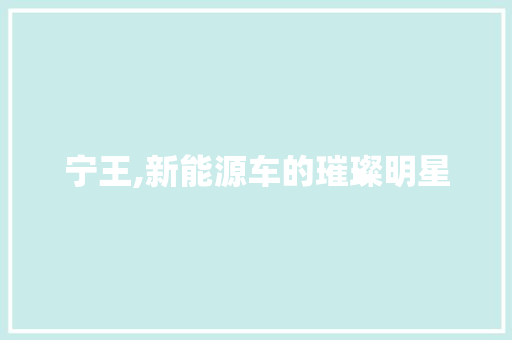 宁王,新能源车的璀璨明星
