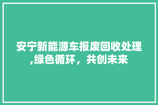 安宁新能源车报废回收处理,绿色循环，共创未来
