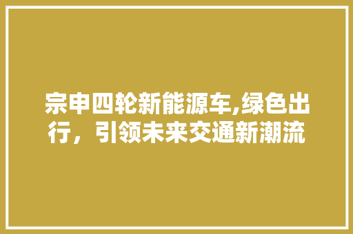 宗申四轮新能源车,绿色出行，引领未来交通新潮流