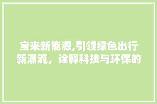 宝来新能源,引领绿色出行新潮流，诠释科技与环保的完美融合