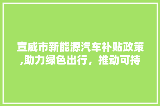 宣威市新能源汽车补贴政策,助力绿色出行，推动可持续发展 新能源汽车