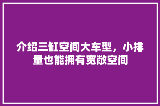介绍三缸空间大车型，小排量也能拥有宽敞空间