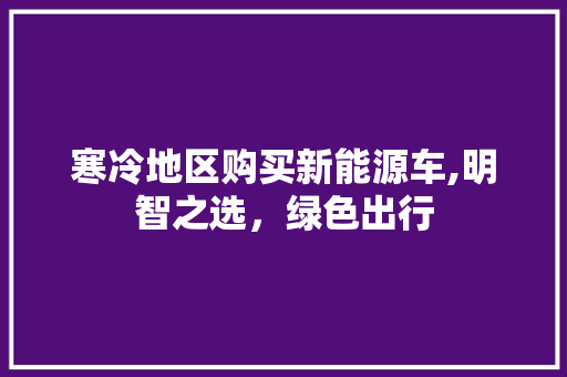 寒冷地区购买新能源车,明智之选，绿色出行