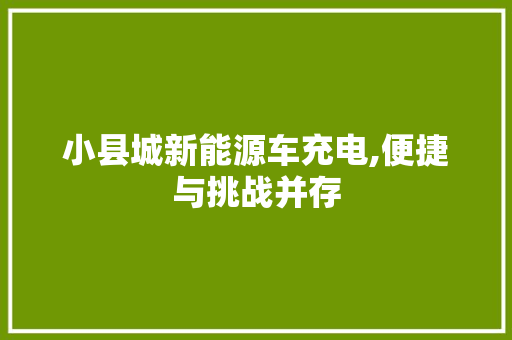 小县城新能源车充电,便捷与挑战并存