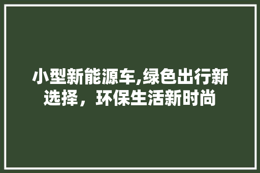 小型新能源车,绿色出行新选择，环保生活新时尚