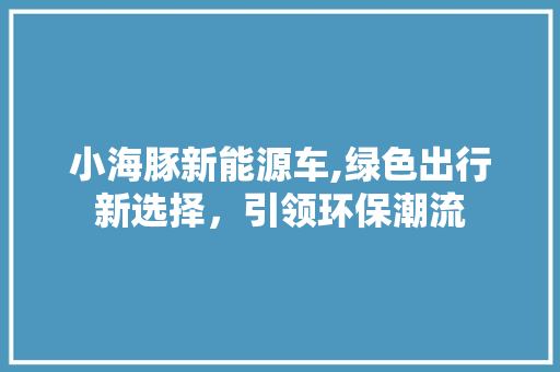 小海豚新能源车,绿色出行新选择，引领环保潮流