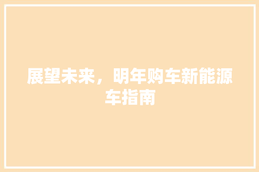 展望未来，明年购车新能源车指南