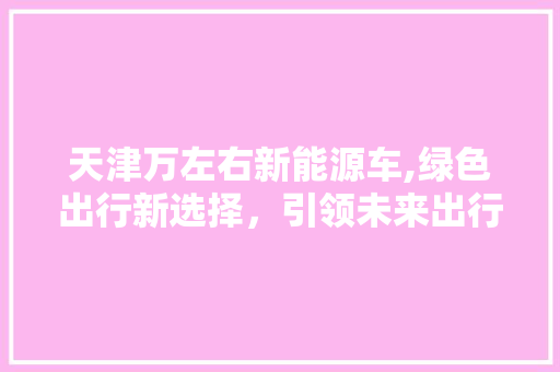 天津万左右新能源车,绿色出行新选择，引领未来出行潮流