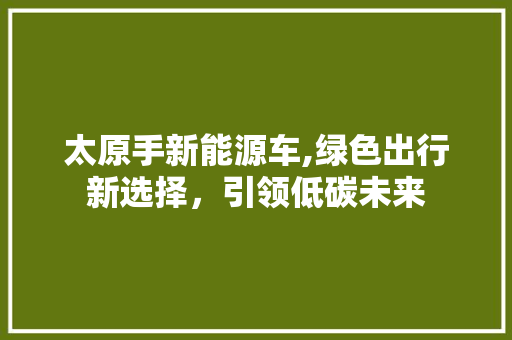 太原手新能源车,绿色出行新选择，引领低碳未来 汽车轮胎