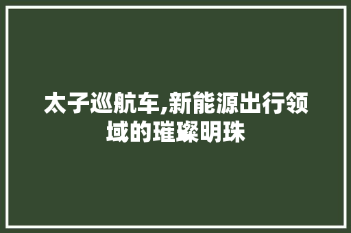 太子巡航车,新能源出行领域的璀璨明珠
