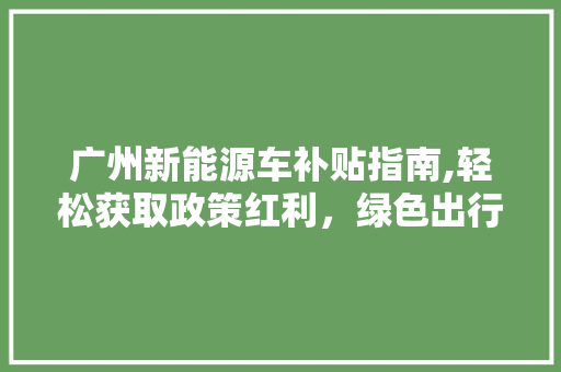 广州新能源车补贴指南,轻松获取政策红利，绿色出行新选择 新车资讯
