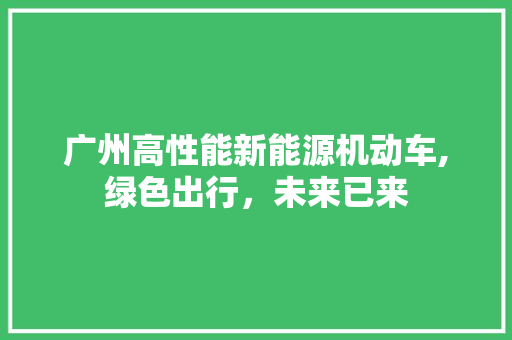 广州高性能新能源机动车,绿色出行，未来已来