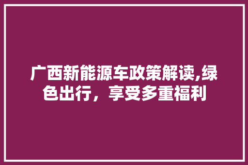 广西新能源车政策解读,绿色出行，享受多重福利