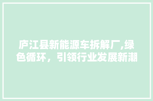 庐江县新能源车拆解厂,绿色循环，引领行业发展新潮流