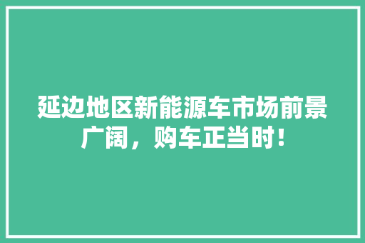 延边地区新能源车市场前景广阔，购车正当时！