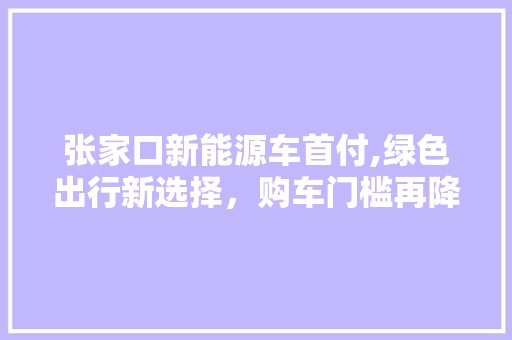 张家口新能源车首付,绿色出行新选择，购车门槛再降低