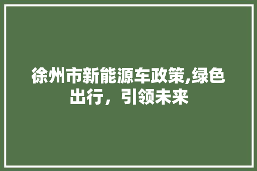 徐州市新能源车政策,绿色出行，引领未来