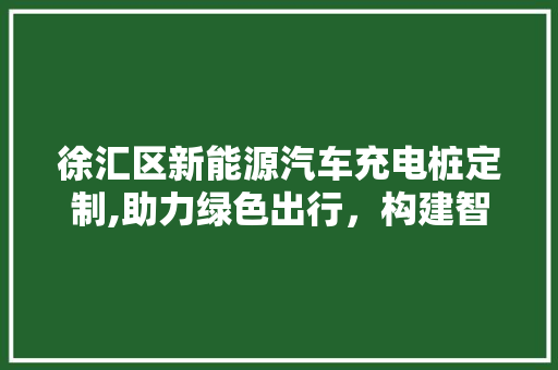徐汇区新能源汽车充电桩定制,助力绿色出行，构建智慧城市