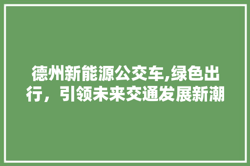 德州新能源公交车,绿色出行，引领未来交通发展新潮流
