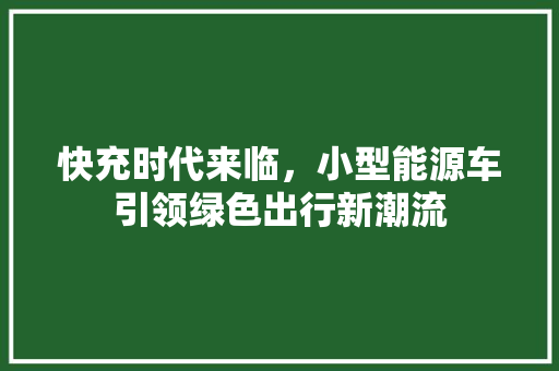 快充时代来临，小型能源车引领绿色出行新潮流 混合动力车