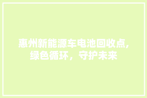 惠州新能源车电池回收点,绿色循环，守护未来
