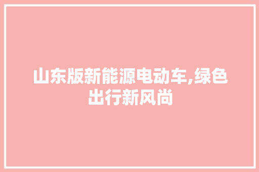 山东版新能源电动车,绿色出行新风尚