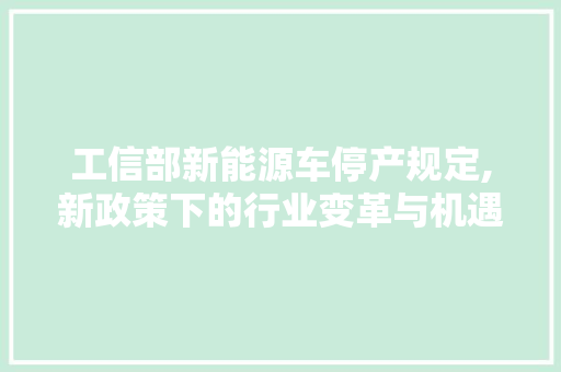 工信部新能源车停产规定,新政策下的行业变革与机遇