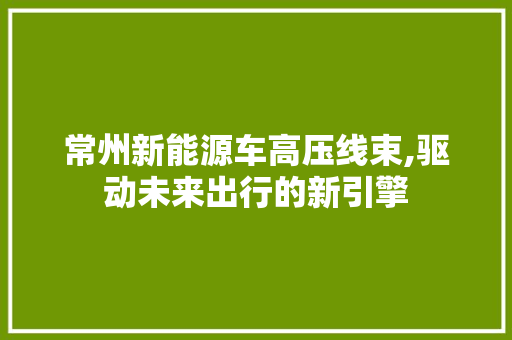 常州新能源车高压线束,驱动未来出行的新引擎