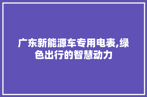 广东新能源车专用电表,绿色出行的智慧动力