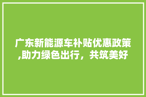 广东新能源车补贴优惠政策,助力绿色出行，共筑美好未来