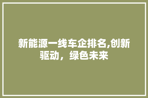 新能源一线车企排名,创新驱动，绿色未来