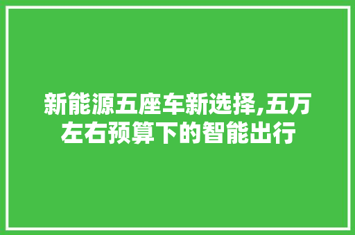 新能源五座车新选择,五万左右预算下的智能出行