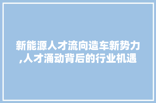 新能源人才流向造车新势力,人才涌动背后的行业机遇