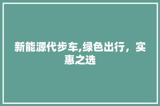 新能源代步车,绿色出行，实惠之选