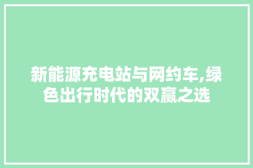 新能源充电站与网约车,绿色出行时代的双赢之选 智能驾驶