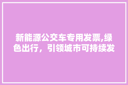 新能源公交车专用发票,绿色出行，引领城市可持续发展