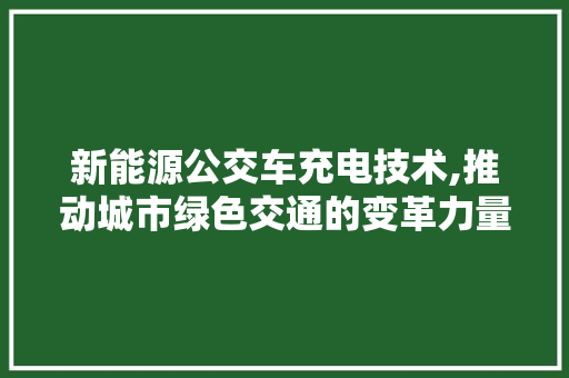 新能源公交车充电技术,推动城市绿色交通的变革力量