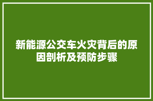 新能源公交车火灾背后的原因剖析及预防步骤 汽车展览