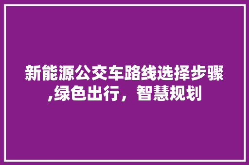 新能源公交车路线选择步骤,绿色出行，智慧规划