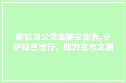 新能源公交车除尘保养,守护绿色出行，助力生态文明